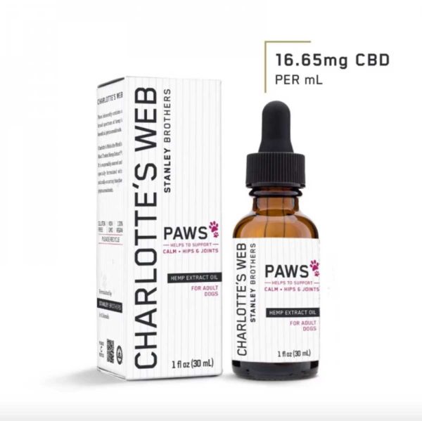 Paws CBD Oil for Dogs