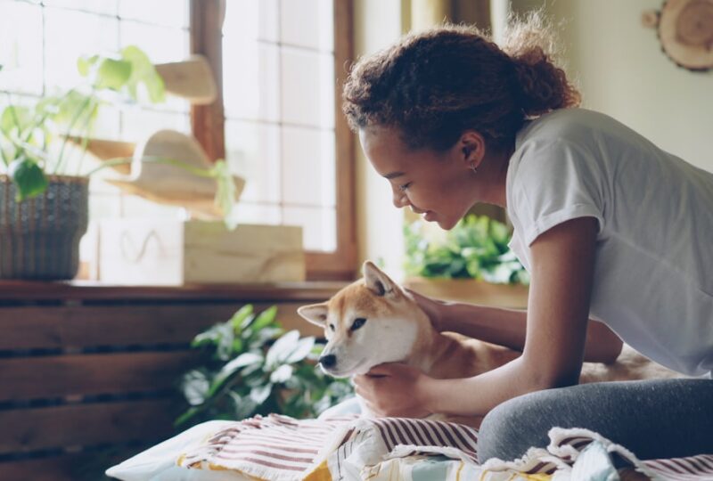 How to Read a CBD Pet Product Label (Without a Chemistry Degree)